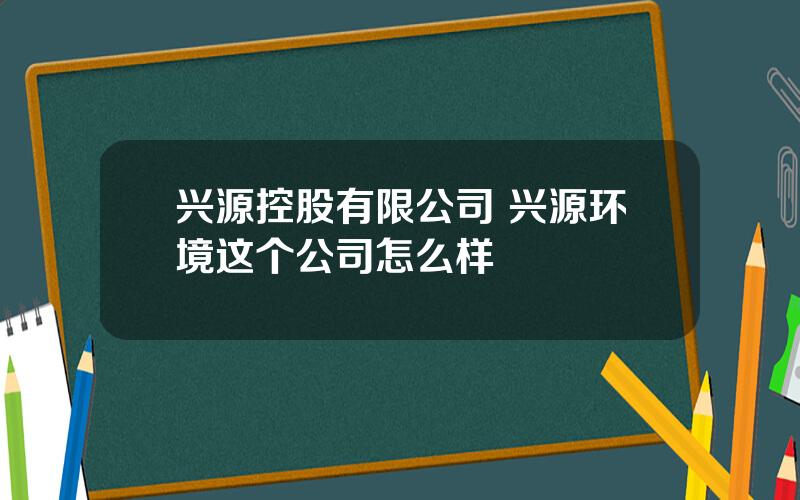 兴源控股有限公司 兴源环境这个公司怎么样